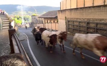 7 julio de 2016 – Encierro de San Fermín